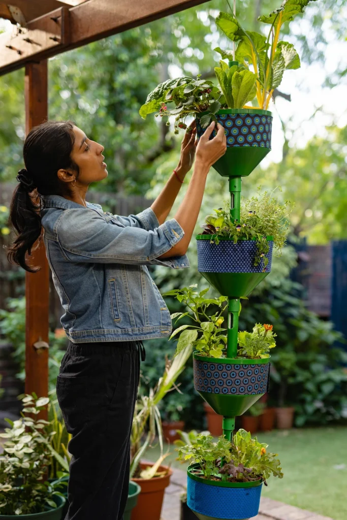 person tending to hanging plants